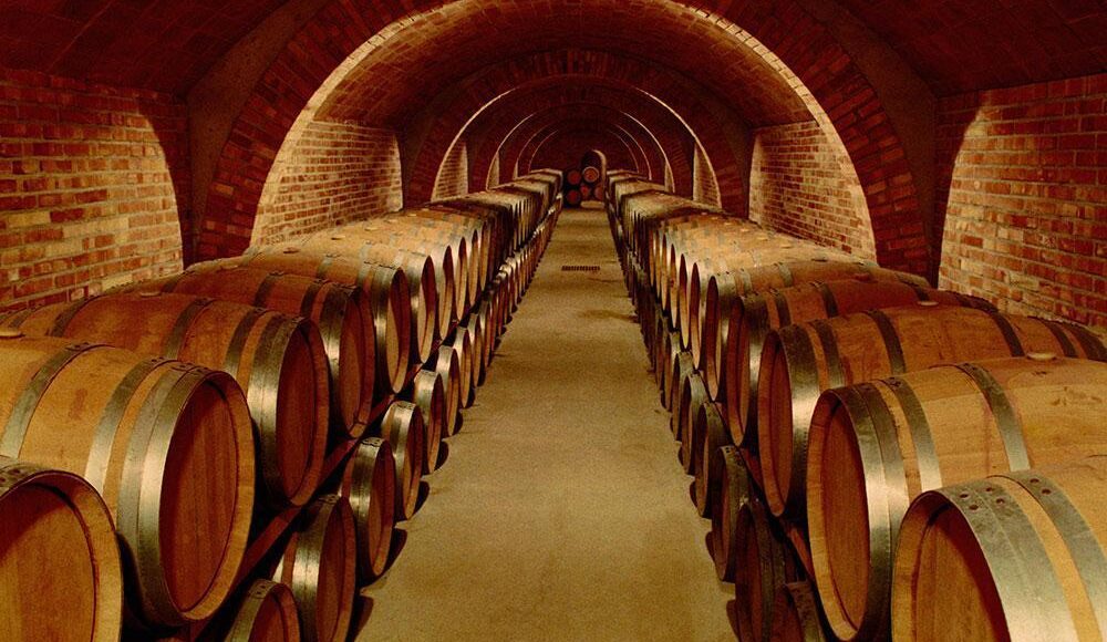 bodegues-pinord