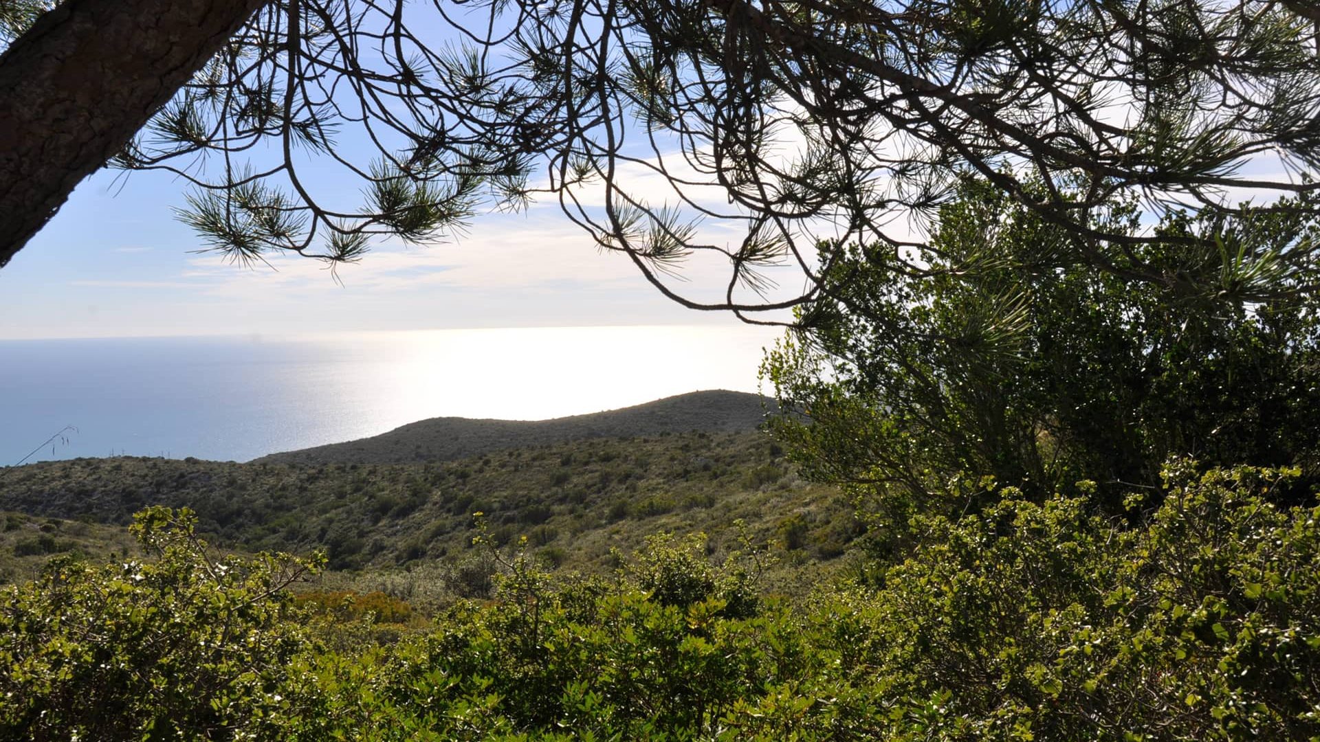 parc-del-garraf