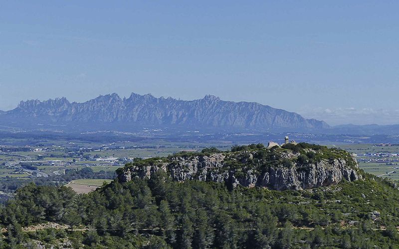 terres-mir-de-geribert-2