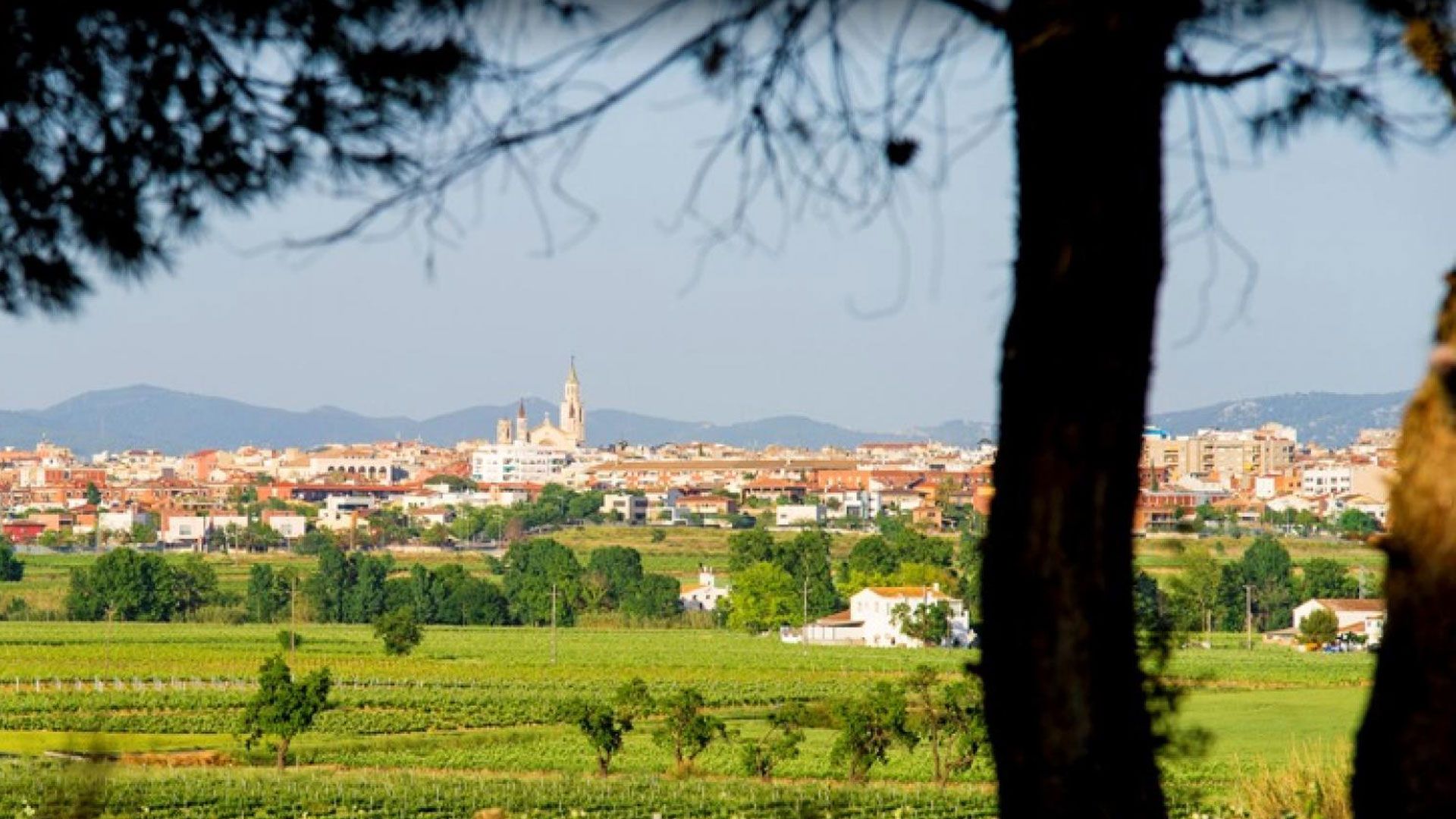 vilafranca-del-penedes